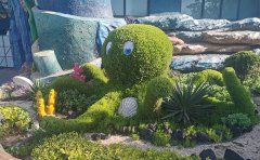 <b>綠雕補(bǔ)草</b>