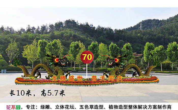 國(guó)慶主題五色草造型設(shè)計(jì)圖-龍騰盛世，普天同慶