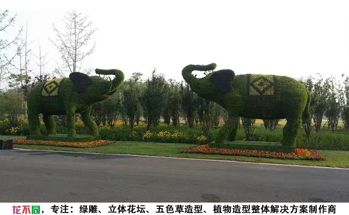 動(dòng)物景觀綠雕造型-大象現(xiàn)場實(shí)拍圖片