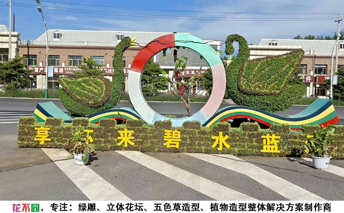 河北張家口天鵝植物綠雕現(xiàn)場(chǎng)實(shí)拍圖片