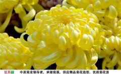 <b>春日見(jiàn)山</b>