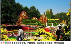 菊花展設(shè)計(jì)圖大全