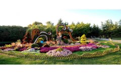 菊花節(jié)施工廠家在開封清園菊花展布展實(shí)例