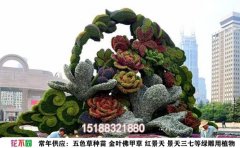 五色草種植方法詳解：從選種到成苗的完整指南