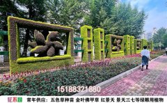 五色草批發(fā)｜園林工程用苗直供基地價格表