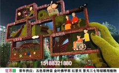 五色草種植基地｜標(biāo)準(zhǔn)化培育與立體造型全產(chǎn)業(yè)