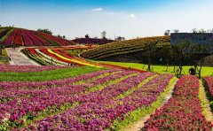 大地藝術節(jié)景觀裝置設計｜生態(tài)藝術與科技融合