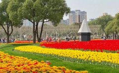 花海灌溉系統(tǒng)設計圖｜2024年智能節(jié)水技術方案與