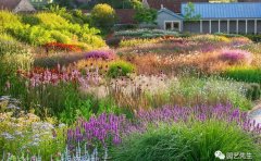 氛圍感花境營造技巧：五大核心要素與植物搭配