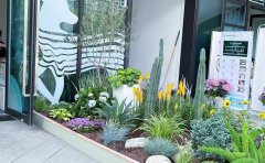 低成本高回報花境方案：預(yù)算控制與景觀效果雙