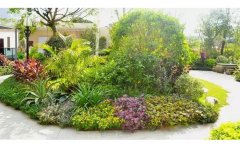 玉簪宿根花卉種植與養(yǎng)護全攻略｜7大品種解析與