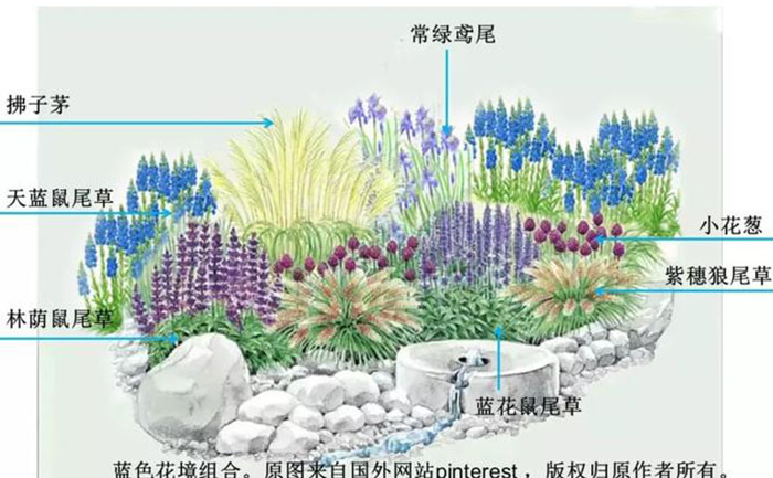 宿根花卉節(jié)水抗旱應(yīng)用設(shè)計圖
