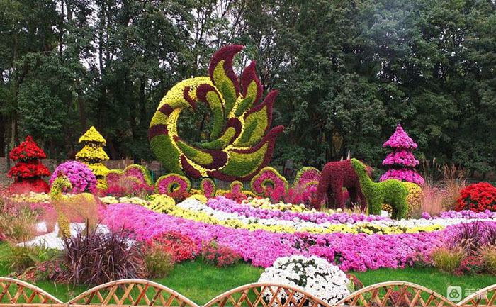 菊花景觀設(shè)計案例實拍
