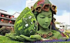 立體花壇五色草種苗指南｜全年養(yǎng)護(hù)方案