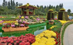 節(jié)日布展五色草種苗全攻略｜主題設(shè)計(jì)與施工養(yǎng)